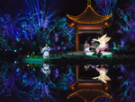 水中仙子，花開韓城丨2017全國首屆睡蓮文化節(jié)開幕式驚艷韓城！