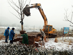 戰(zhàn)天斗地！人文園林項(xiàng)目建設(shè)施工人員冒雪沖在第一線！