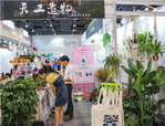 走進植物，享受美好——花點園藝亮相第十二屆杭州文博會