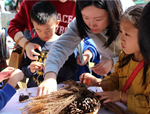 科普植物知識(shí)，傳遞植物美學(xué)——花點(diǎn)園藝亮相第三屆自然嘉年華