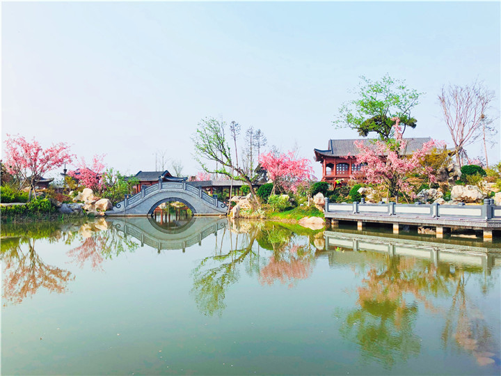 黃有華-韓城國家文史公園瓊島攬月處紅花綠葉，春意盎然。.jpg