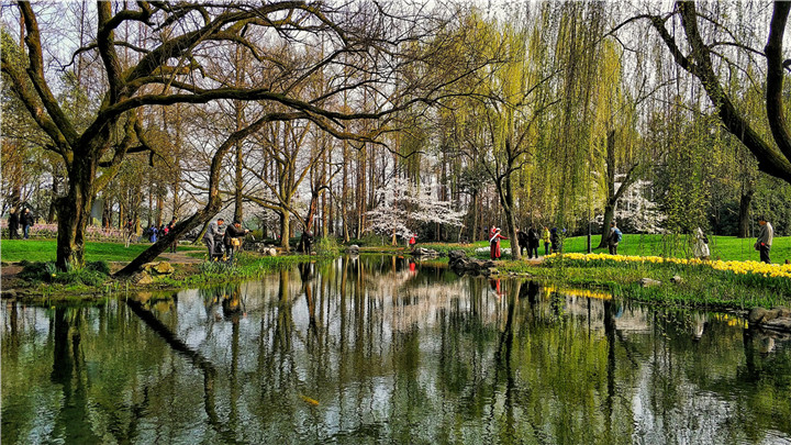 晏佳佳-12春光燦爛——2018-03-22——太子灣公園的春天，色彩靚麗 (2).jpg
